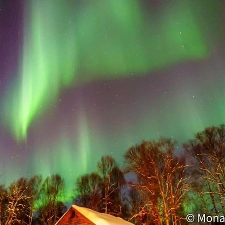 Susitna River Lodging, Suites Talkeetna Esterno foto