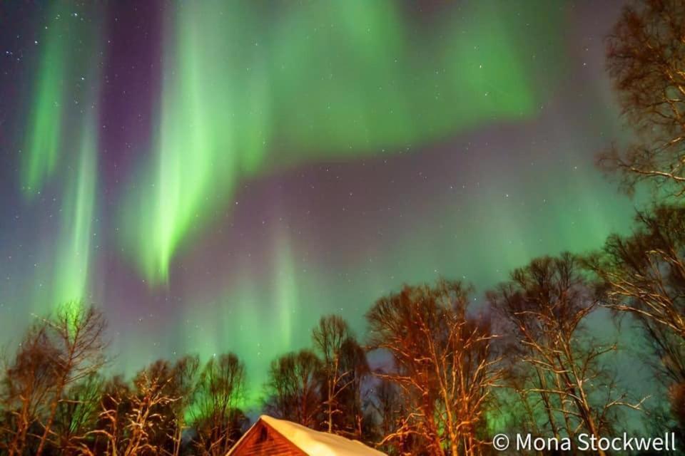 Susitna River Lodging, Suites Talkeetna Esterno foto