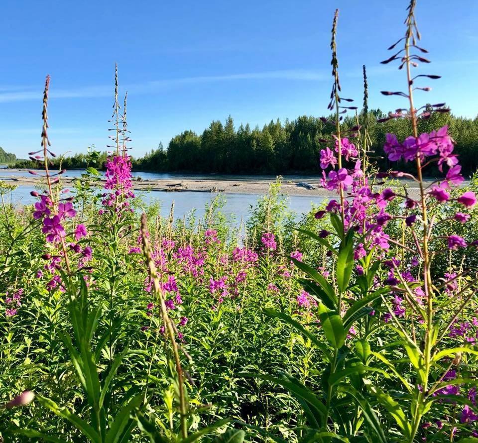 Susitna River Lodging, Suites Talkeetna Esterno foto