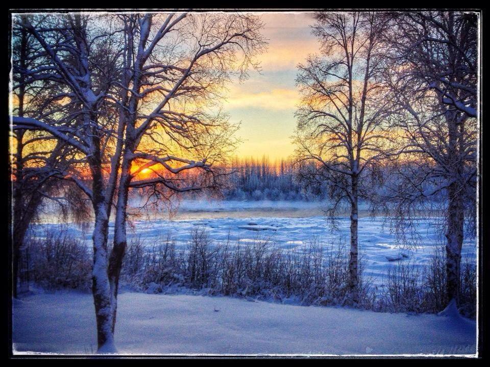 Susitna River Lodging, Suites Talkeetna Esterno foto